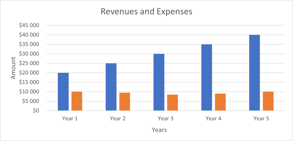 The revenues and expenses of the business over a five-year period, illustrating financial trends and forecasts