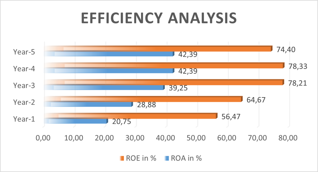 Efficiency Analysis